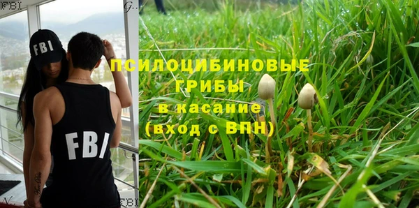 дурь Армянск