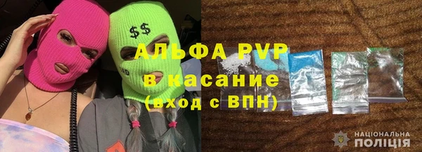 твердый Аркадак
